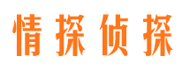 临沭找人公司